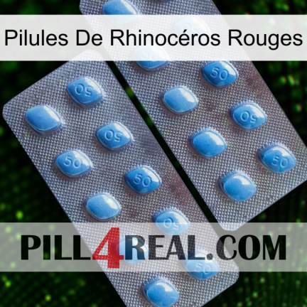 Pilules De Rhinocéros Rouges viagra4